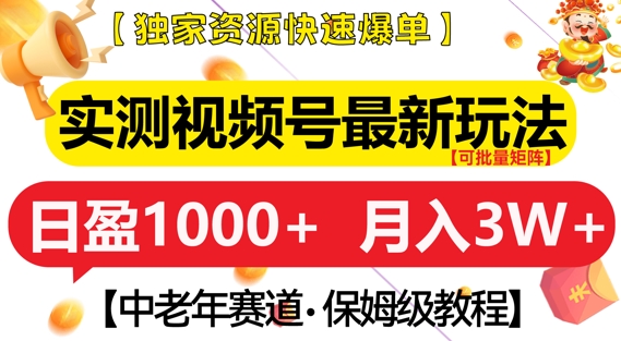 实测视频号最新玩法，中老年赛道，独家资源，月入过W+【揭秘】-资源云