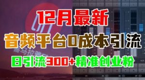 12月最新:音频平台0成本引流,日引流300+精准创业粉-资源云