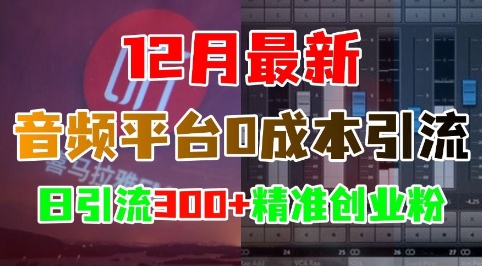 12月最新：音频平台0成本引流，日引流300+精准创业粉-资源云