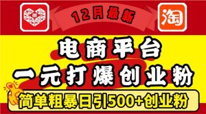 12月最新：电商平台1元打爆创业粉，简单粗暴日引500+精准创业粉，轻松月入过W【揭秘】-资源云