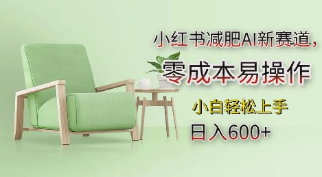 小红书减肥AI新赛道，零成本易操作，日入多张，小白轻松上手【揭秘】-资源云
