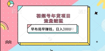 视频号年货项目，流量贼猛，早布局早挣钱，日入上k【揭秘】-资源云