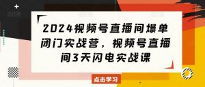 2024视频号直播间爆单闭门实战营,视频号直播间3天闪电实战课-资源云