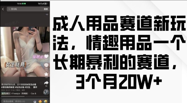 成人用品赛道新玩法，情趣用品一个长期暴利的赛道，3个月收益20个【揭秘】-资源云