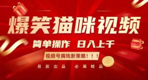 爆笑猫咪视频:简单操作,日入过K,视频号搞钱新策略【揭秘】-资源云