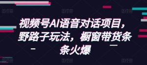 视频号AI语音对话项目,野路子玩法,橱窗带货条条火爆-资源云