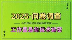 2025问卷调查最新工作室技术解密:一个人在家也可以闷声发大财,小白一天2张,可矩阵放大【揭秘】-资源云