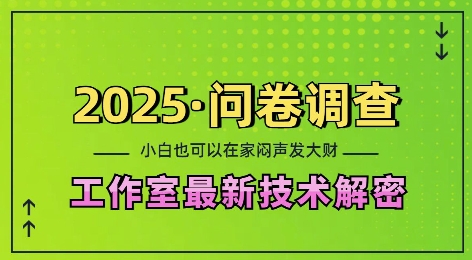 2025问卷调查最新工作室技术解密：一个人在家也可以闷声发大财，小白一天2张，可矩阵放大【揭秘】-资源云