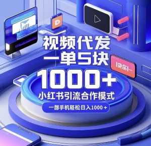 视频代发，一单5块，小红书引流合作模式，一部手机轻松日入多张【揭秘】-资源云