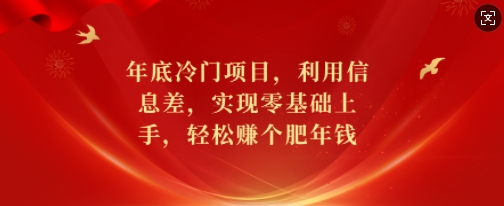年底冷门项目，利用信息差，实现零基础上手，轻松赚个肥年钱【揭秘】-资源云