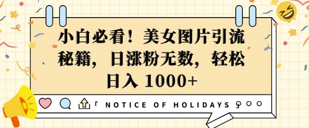 小白必看，美女图片引流秘籍，日涨粉无数，轻松日入几张【揭秘】-资源云