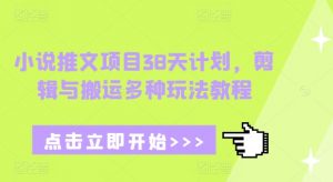 小说推文项目38天计划,剪辑与搬运多种玩法教程-资源云