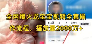 全网爆火龙宝宝视频全套操作流程,播放量2000万+-资源云
