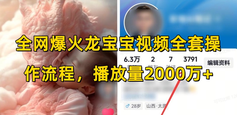 全网爆火龙宝宝视频全套操作流程，播放量2000万+-资源云