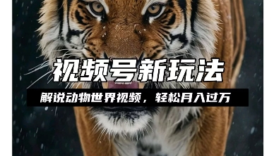 利用动物世界解说视频，赚分成计划收益，轻松月入过W，操作简单【揭秘】-资源云