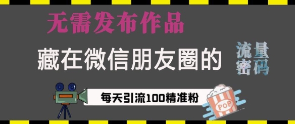 藏在微信朋友圈的流量密码，无需发布作品，单日引流100+精准创业粉【揭秘】-资源云