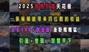 2025自热引流天花板,一条视频能带来四位数的收益,引流+变现双管齐下,日引500+创业粉,涨粉嘎嘎猛-资源云