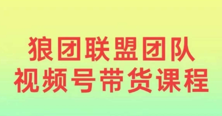 狼团联盟2024视频号带货，0基础小白快速入局视频号-资源云