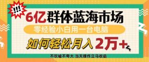 6亿群体蓝海市场,零经验小白用一台电脑,如何轻松月入过w【揭秘】-资源云