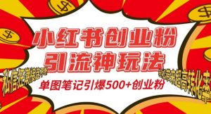 小红书创业粉引流神玩法,单图笔记引爆500+精准创业粉丝,私信狂潮接连不断-资源云