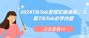 2024TikTok变现实操课程,入局TikTok必学内容-资源云