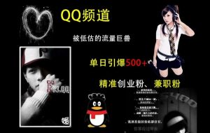 QQ频道:被低估的流量巨兽,单日引爆500+精准创业粉、兼职粉的引流秘籍-资源云