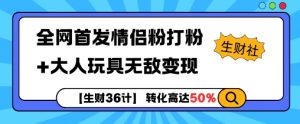 【生财36计】全网首发情侣粉打粉+大人玩具无敌变现-资源云