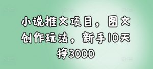 小说推文项目，图文创作玩法，新手10天挣3000-资源云