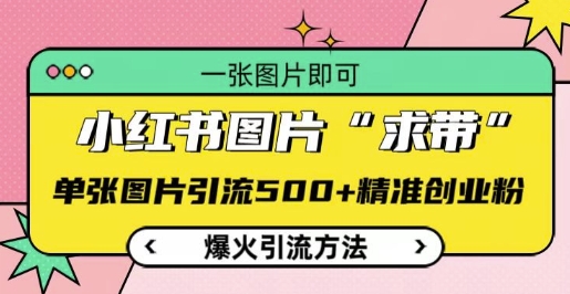 小红书图片‘求带’爆火引流法，单张图片引流500+精准创业粉【揭秘】-资源云
