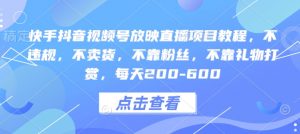 快手抖音视频号放映直播项目教程,不违规,不卖货,不靠粉丝,不靠礼物打赏,每天200-600-资源云