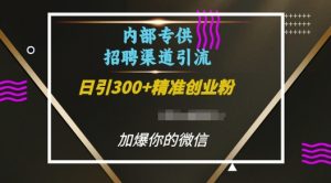内部招聘渠道日引流300+创业粉,加爆你的微信【揭秘】-资源云