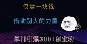 仅需一块钱，借助别人的力量，单日引爆300+创业粉、兼职粉【揭秘】-资源云