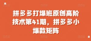 拼多多打爆班原创高阶技术第41期,拼多多小爆款矩阵-资源云