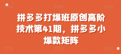 拼多多打爆班原创高阶技术第41期，拼多多小爆款矩阵-资源云