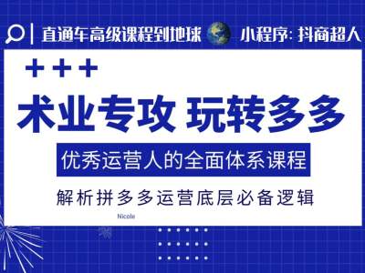 术业专攻玩转多多，优秀运营人的全面体系课程，解析拼多多运营底层必备逻辑-资源云
