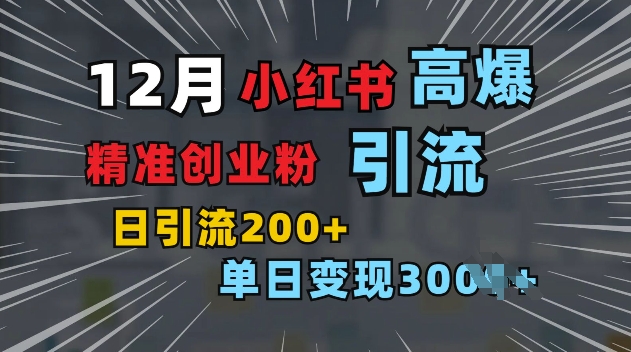 小红书一张图片“引爆”创业粉，单日+200+精准创业粉 可筛选付费意识创业粉【揭秘】-资源云