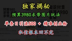 预算3980求带 图片玩法,单条日引流500+精准创业粉,私信根本回不完-资源云