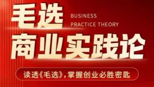毛选商业实践论,读透《毛选》掌握创业必胜密匙-资源云