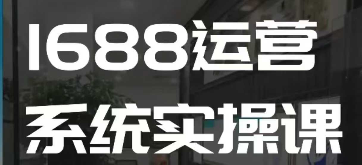 1688高阶运营系统实操课，快速掌握1688店铺运营的核心玩法-资源云