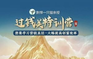 剽悍一只猫-过钱关特训营,学习营销真经 大幅度提高创富效率-资源云