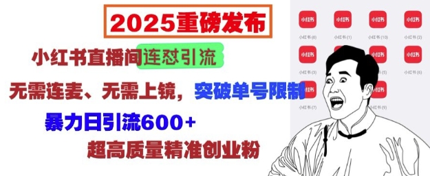 2025重磅发布：小红书直播间连怼引流，无需连麦、无需上镜，突破单号限制，暴力日引流600+-资源云