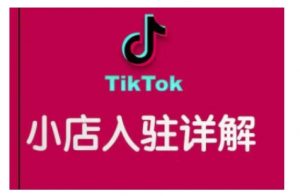TikTok跨境小店运营全攻略,帮助你独立运营TK跨境小店的能力,实现销量增长-资源云