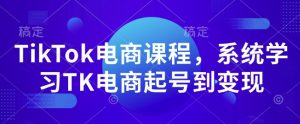 TikTok电商课程，​系统学习TK电商起号到变现-资源云