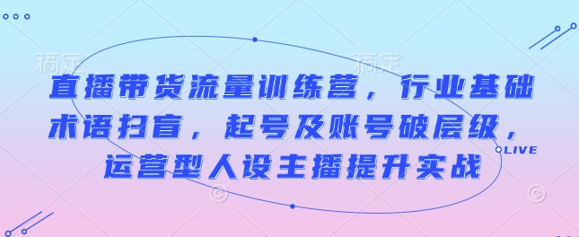 直播带货流量训练营，行业基础术语扫盲，起号及账号破层级，运营型人设主播提升实战-资源云