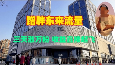 蹭胖东来流量，三天涨万粉，收益直接起飞-资源云
