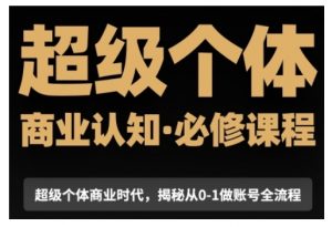 超级个体商业认知觉醒视频课,商业认知·必修课程揭秘从0-1账号全流程-资源云