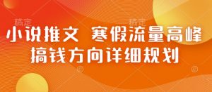 小说推文 寒假流量高峰 搞钱方向详细规划-资源云