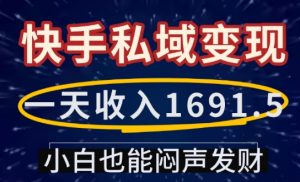 一天收入1691.5,快手私域变现,小白也能闷声发财-资源云