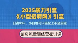 2025最新暴力引流方法，招聘平台一天引流300+，日变现多张，专业人士力荐-资源云
