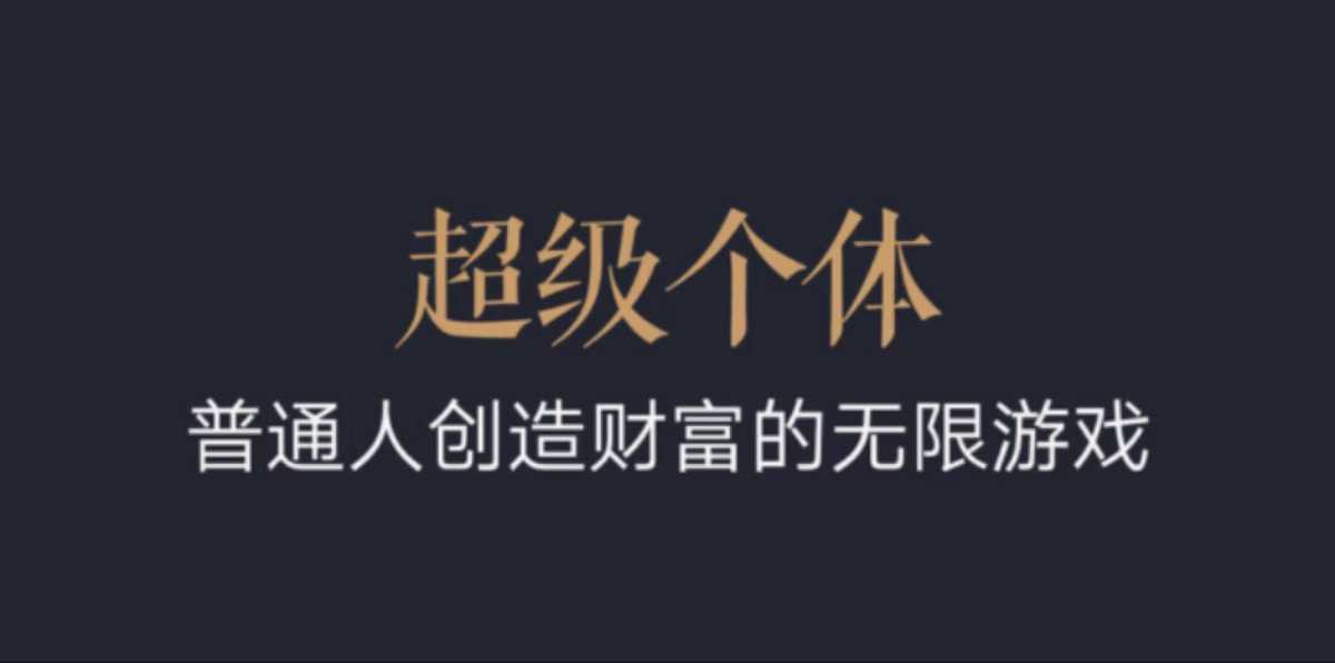 超级个体：2024-2025翻盘指南，普通人创造财富的无限游戏-资源云